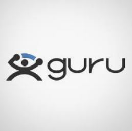 guru summary review